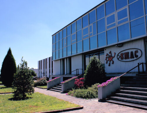 CERAMIC WORLD WEB – intervista a Fulvio Masini